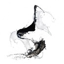 Patrick Liszt фотография #2 (источник - https://vk.com/id43533997)