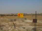 Фотография Леоновой Анны