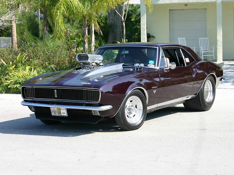 Дмитрий Родин фотография #47