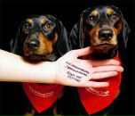 Майкл Дон фотография #1