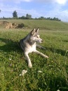 Ірина Новохацька фотография #22 (источник - https://vk.com/id140234042)