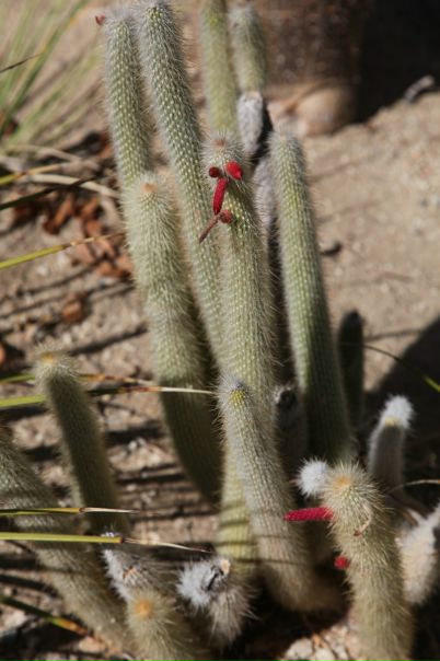 Джейн Эйр фото №20