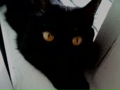 Фотография Igorevna Alina