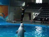 Murat Uzun фотография #33 (источник - https://vk.com/id1846906)