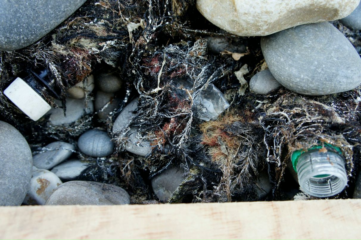 Алан Айверсон фотография #50