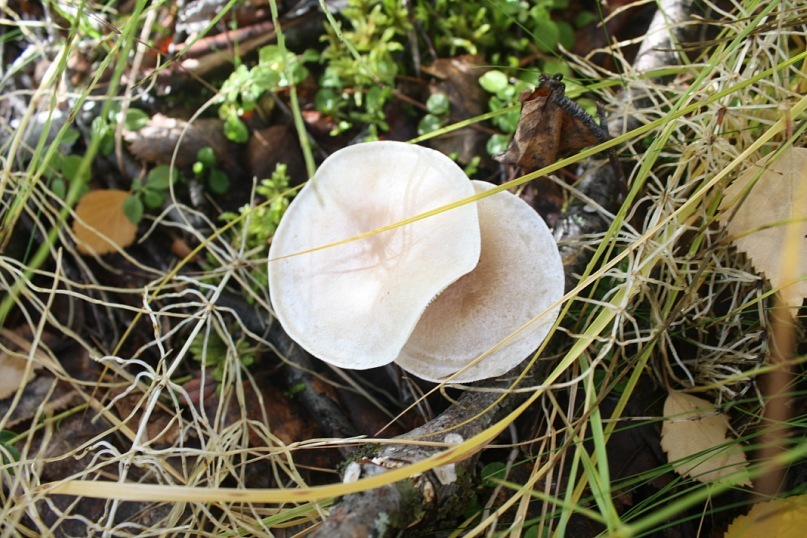 Сергей Маслов фотография #20