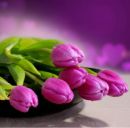 Лєра Колісник фотография #31 (источник - https://vk.com/id165435888)