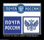 Фотография Щегольковой Светланы