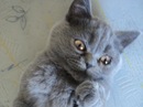 Фотография Викторовны Марины