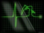 Фотография Наума Макса