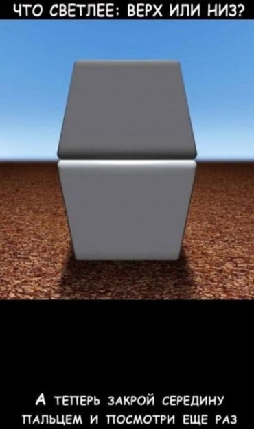 Дмитрий Леонов фотография #43