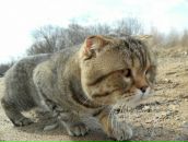 Фотография Мальцева Павла