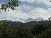 Фотография Hamrlik Roman