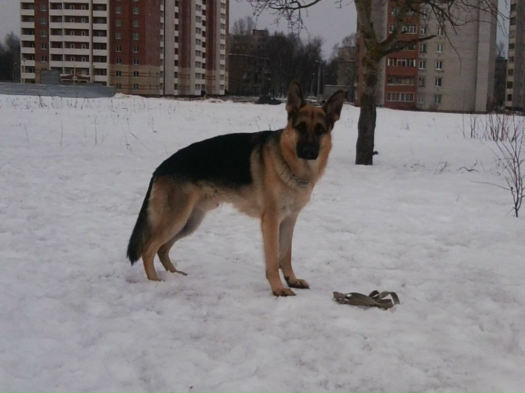 Андрей Кубышкин фотография #33