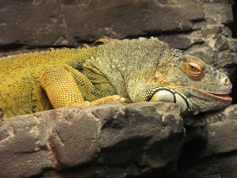 Сергей Царёв фотография #25