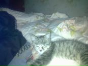 Фотография Владимировича Андрея