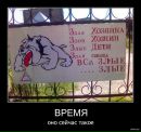 Фотография Ананьева Александра