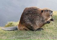 Фотография Usova Xenia