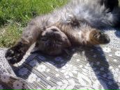 Фотография Демидова Андрея