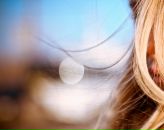 Фотография Bond Lory