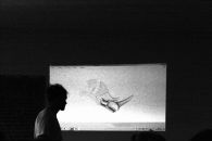 Max Nikolaev фотография #16 (источник - https://vk.com/id1273247)