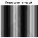 Юра Луців фотография #29 (источник - https://vk.com/id138926316)