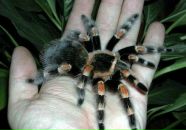 Віктор Галабурда фотография #34 (источник - https://vk.com/id66014510)