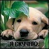 Крістіліна Лис фотография #41 (источник - https://vk.com/id134836210)