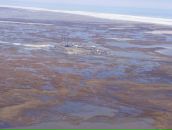 Тимур Гафаров фотография #28 (источник - https://vk.com/id29801882)