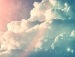  фотография #9