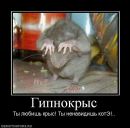 Фотография Яковцова Кирилла