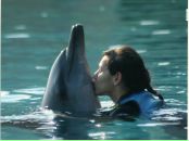 Фотография Grebyonkina Olga