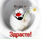 Вероніка Білан фотография #28 (источник - https://vk.com/id138551573)