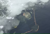 Фотография Харитоновой Ирины