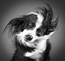 Фотография Антонов Виталий