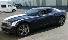 Фотография Гришиной Анастасии