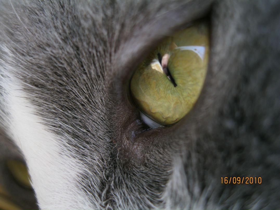 Юлия Леонтьева фотография #1