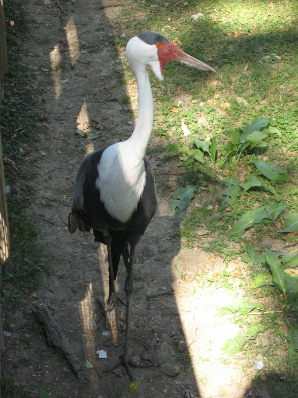 Dimka Abyshkin фотография #39