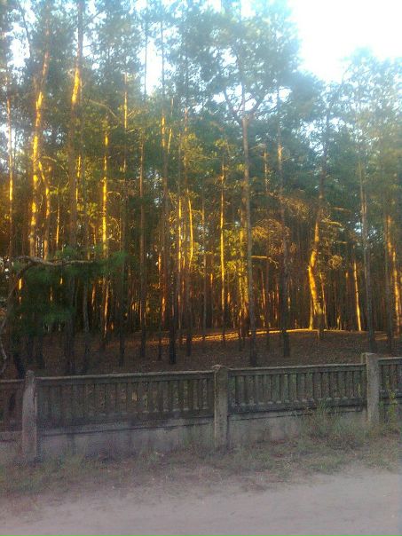 Тёма Боднарук фото №10
