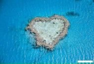 Фотография Вичеховской Натальи