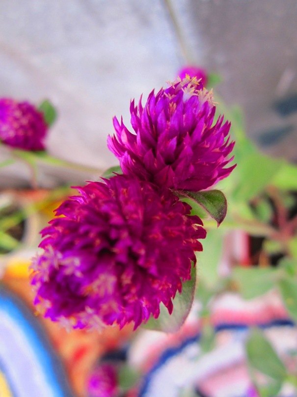 Ольга Гребенникова фотография #40