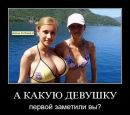 Тімур Сокунов фотография #20 (источник - https://vk.com/id45307241)