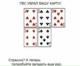 Свєтунька Яковець фотография #14 (источник - https://vk.com/id100793081)