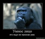 Іра Сiдорчук фотография #31 (источник - https://vk.com/id27743744)