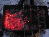 Міша Гедзик фотография #21 (источник - https://vk.com/id153402164)