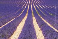 Фотография Rukavitsyna Tanya