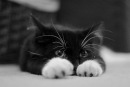 Фотография Образцовой Марии