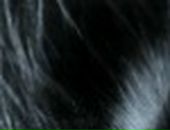 Марина Степченко фотография #29 (источник - https://vk.com/id4404327)