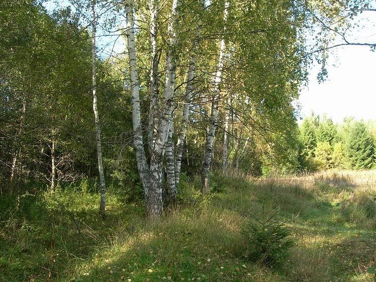 Сергей Дробышев фотография #7