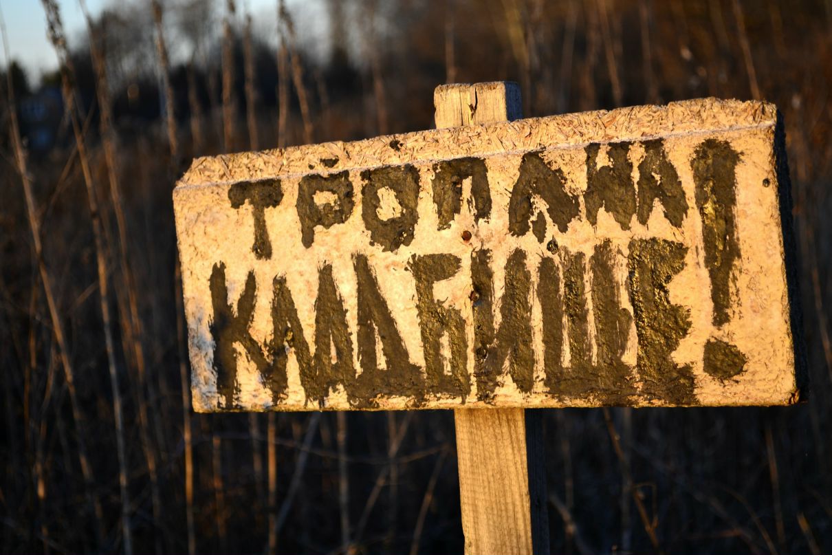 Иван Сурков фотография #11